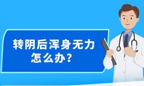 新澳精准资料免费公开｜全新核心解答与落实