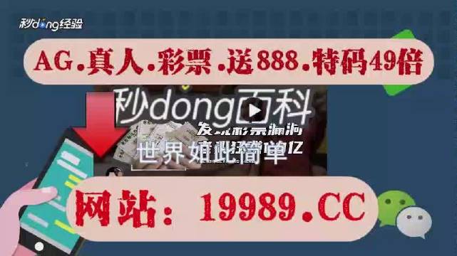 2024今晚新澳门开奖结果,准确资料解释落实_轻量版47.222