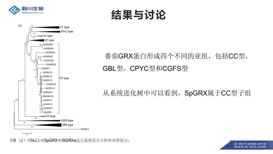 新澳准资料免费提供,调整方案执行细节_4K版79.847