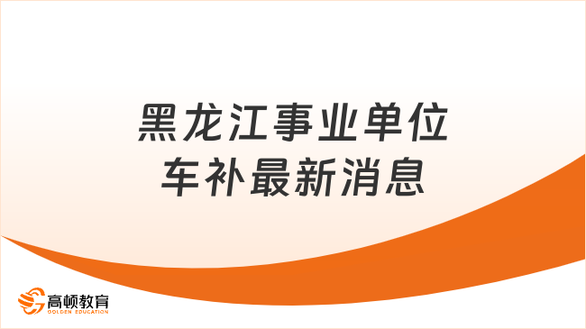 最新事业车补政策动态深度解读与解析