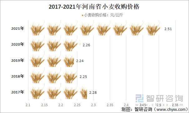 衡水小麦价格最新动态分析