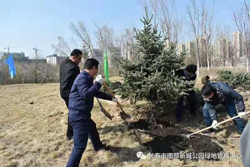 长春南部新城发展动态，城市蓬勃新动力揭秘