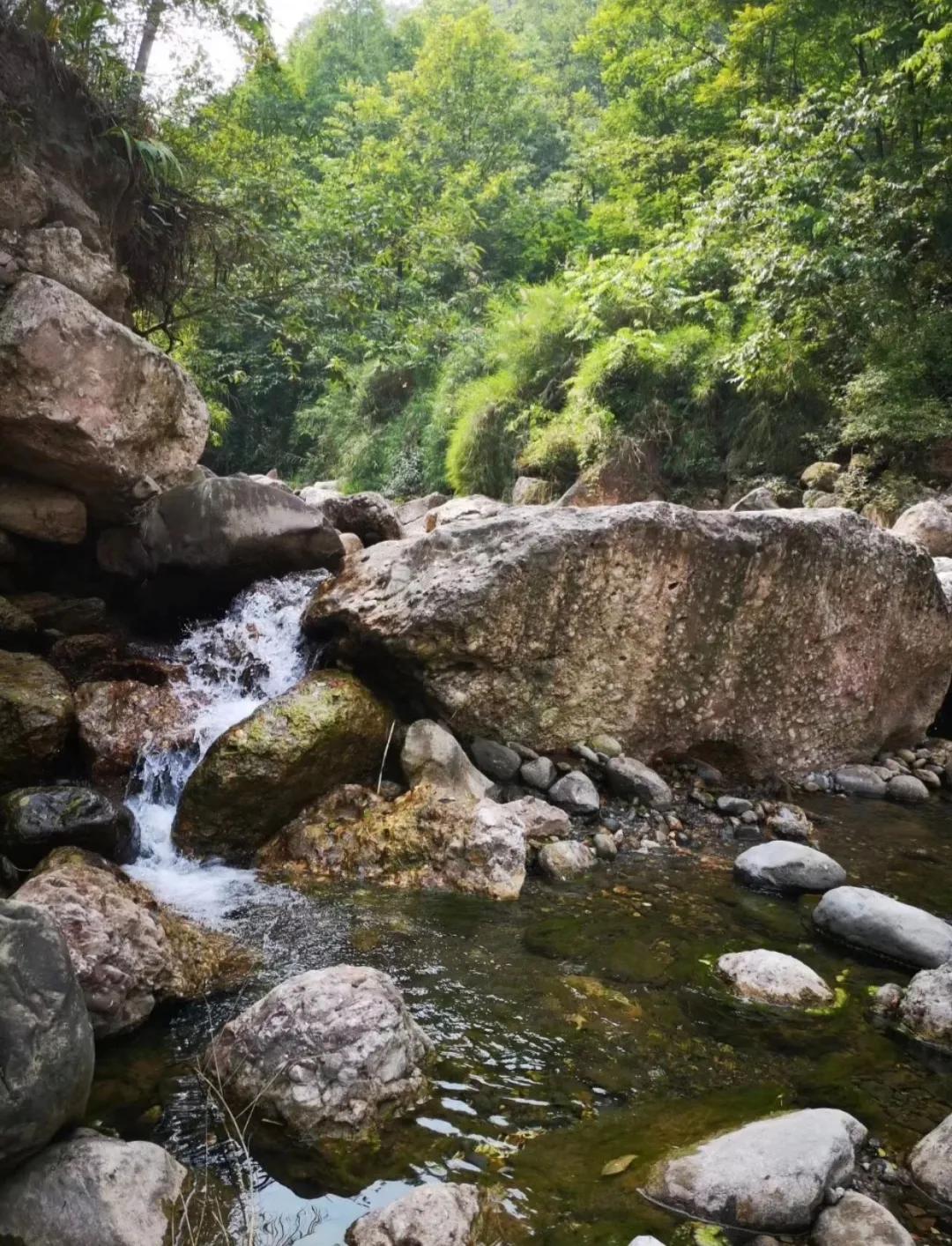 探索与发现，蝌蚪最新地址的水中游园体验