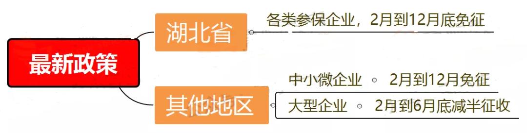 五险深度解析，最新政策影响与展望