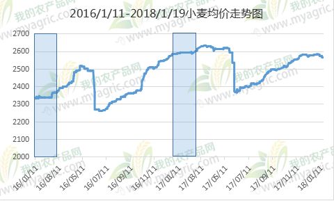 小麦行情最新走势分析，价格动态与市场趋势研究