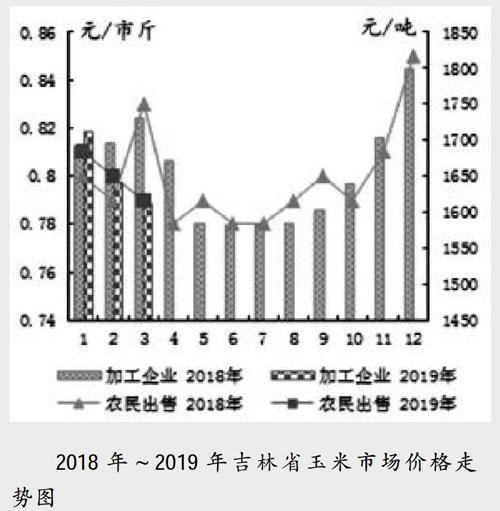 吉林省玉米最新价格动态解析