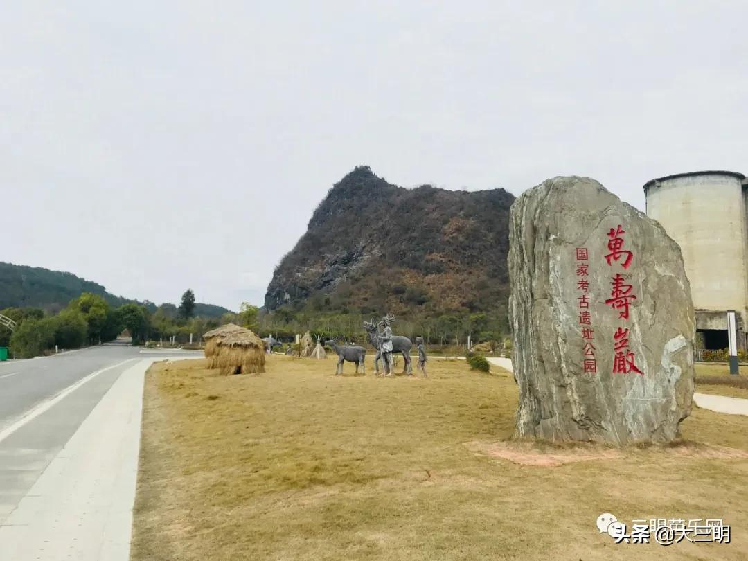 动物园搬迁最新动态，实现城市生态与动物福利的双赢战略